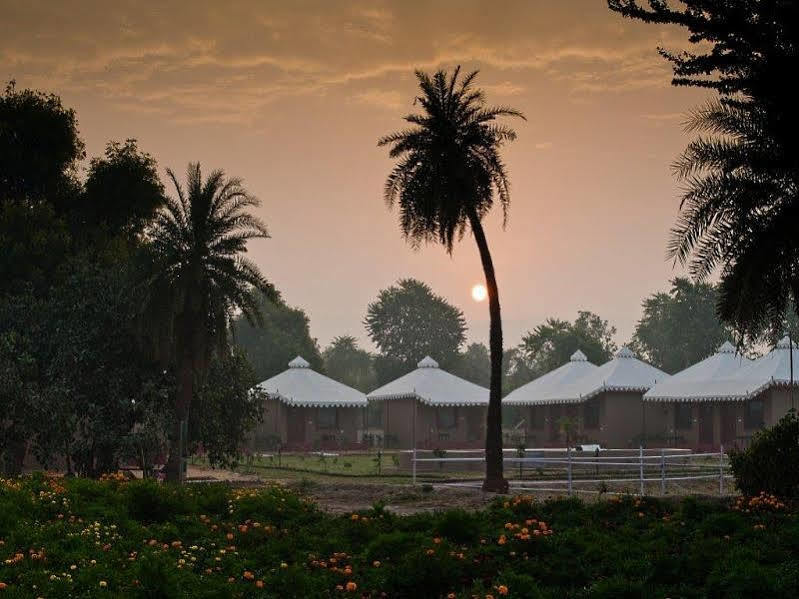 Lohana Village Resort Pushkar Bagian luar foto